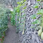 Seaside House With Terrace In Atrani Ravello