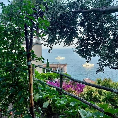 Seaside House With Terrace In Atrani ラヴェッロ